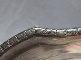 a close up of a silver plate on a table