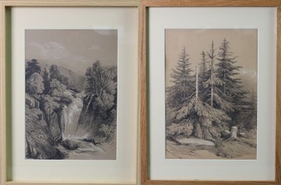 deux photos encadrées représentant des arbres et une cascade dans une zone boisée