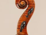 a close up of the back of a violin