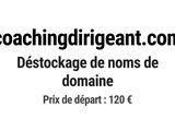 Photo 1/1 du lot