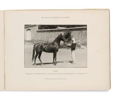 an old black and white photo of a man standing next to a horse
