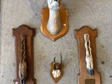 une tête de cerf accrochée au mur à côté d'autres trophées