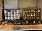 many different types of shells in this box