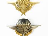 two military badges with wings and a star on a white background