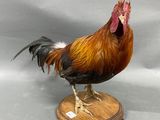 a statue of a rooster standing on a wooden base