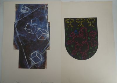 an open book with a drawing of a shield and a drawing of a shield