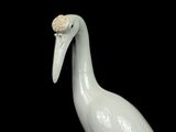 a white bird with a flower on its head
