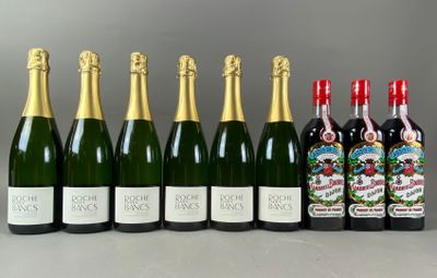 6 B Brut, Roche des Bancs, L'effrontée, 2020