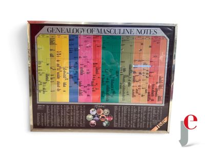 a picture of a picture of a poster of a geneology of mascuine notes