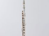 a silver flute on a clear stand against a white background
