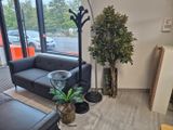 a living room with a couch, chair, lamp, and plant in it