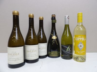 Vins blancs : 6 bouteilles dont 3 bouteilles de Côtes Catala…