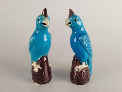 two blue birds sitting on top of a tree stump
