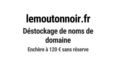Nom de domaine lemoutonnoir.fr.