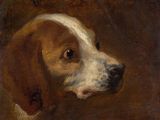 tableau représentant un chien brun et blanc avec une tache blanche sur le museau