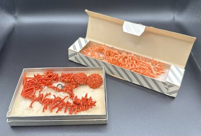 two boxes of carrots in a box on a table