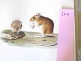 une image représentant un livre sur lequel figure une souris, ainsi qu'une souris