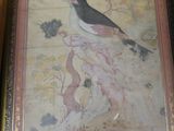 a picture of a picture of a bird in a frame