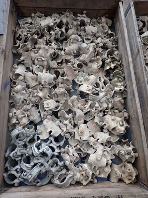 a wooden box filled with lots of different types of skulls