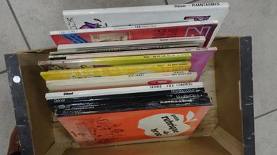 Caisse de Bandes Dessinées : Kano - Gotlieb - Reiser - Wolin…