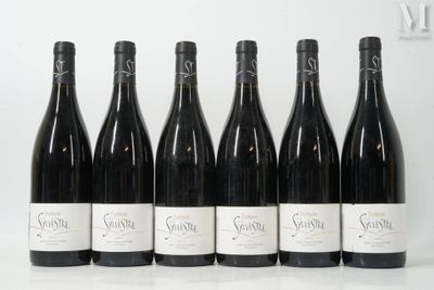 six bouteilles de vin sont alignées sur une table