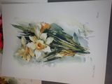 Photo 2/8 du lot