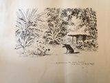 un dessin représentant un chien et un chat dans un jardin