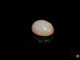 an oplite in the dark with a black background