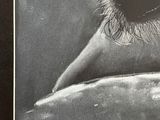 Photo 6/7 du lot
