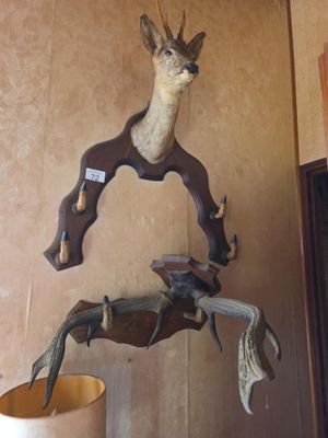 deux têtes de cerf accrochées au mur à côté d'une lampe