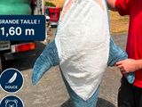 un homme qui tient un gros requin dans ses mains