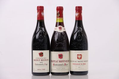 trois bouteilles de vin sont alignées sur une surface blanche