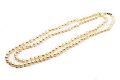 gros plan d'un collier de perles sur fond blanc