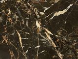 a close up of a marble floor with a black and gold pattern