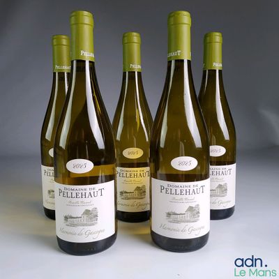 quatre bouteilles de vin blanc sont alignées sur une table