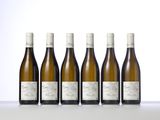 six bottles of white wine lined up in a row