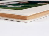 Photo 7/12 du lot