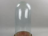 une cloche en verre reposant sur un socle en bois, sur fond blanc
