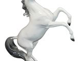 a white horse that is standing on its hind legs