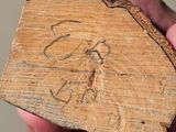 a person holding a piece of wood with a drawing on it