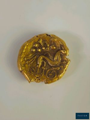 gros plan d'une pièce d'or sur une surface blanche