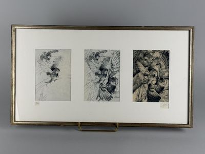 NIGRE (XXe siècle). "Etudes de hiboux".