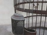 a bird in a cage with a cup inside of it