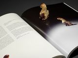 Photo 4/10 du lot