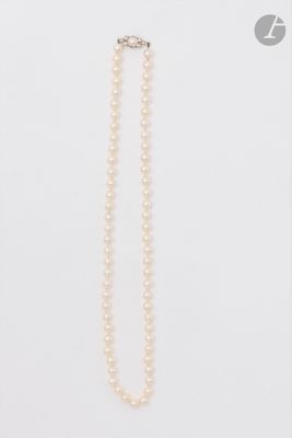 un collier de perles blanches sur fond blanc