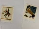 two pictures of birds of paradise and a bird of paradise plant
