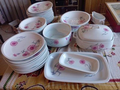 beaucoup d'assiettes et de bols sur la table