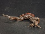 a dead animal laying on the ground with a mouse in it ' s mouth