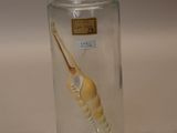 a glass jar with a sea shell inside of it