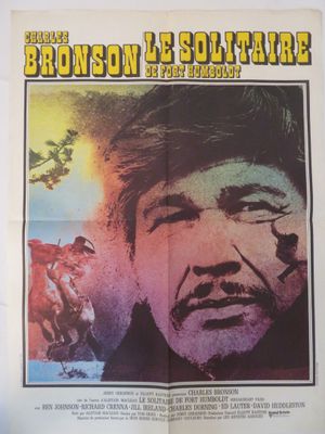 une affiche du film « Bronson : La Solitude »